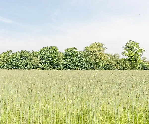 Appartement Braband - Gustav-schoenleber-weg 27 *