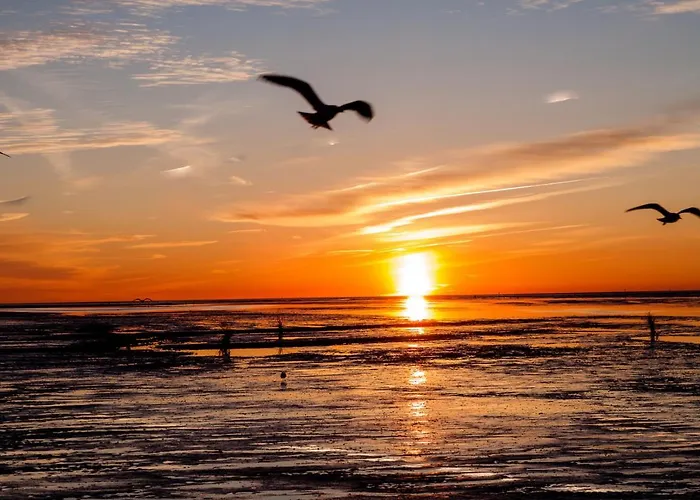 Appartement Braband - Gustav-schoenleber-weg 27 *